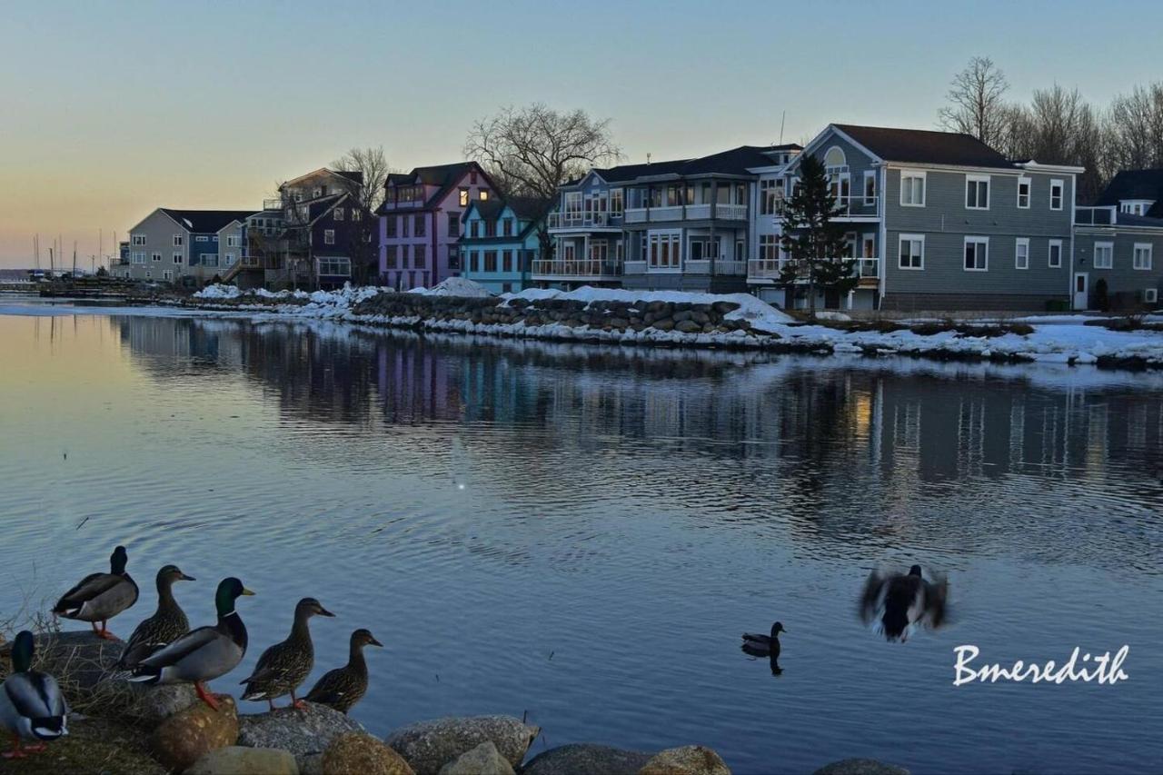 Sea La Vie Apartment Mahone Bay Exterior photo